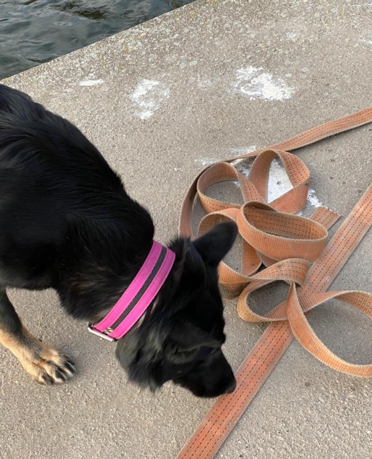 Byling markerar på gömma under spännbälte