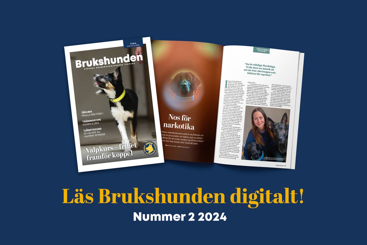 Puffbild för Brukshunden