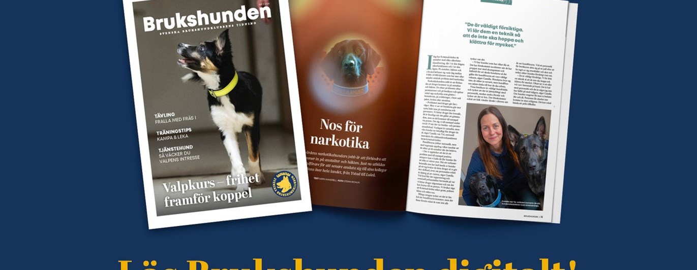 Puffbild för Brukshunden