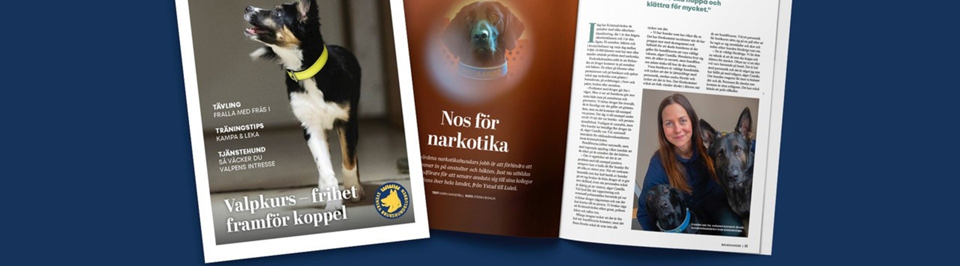 Puffbild för Brukshunden