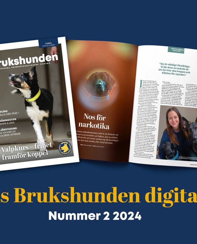 Puffbild för Brukshunden