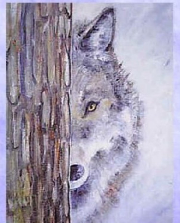 Hotmals Vandringspris till Årets Bästa Brukshund