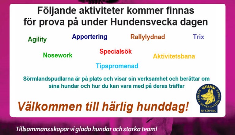 Följande aktiviteter kommer finnas för prova på under Hundens vecka-dagen: agility, apportering, rallylydnad, trix, nosework, specialsök, aktivitetsbana, tipspromenad.