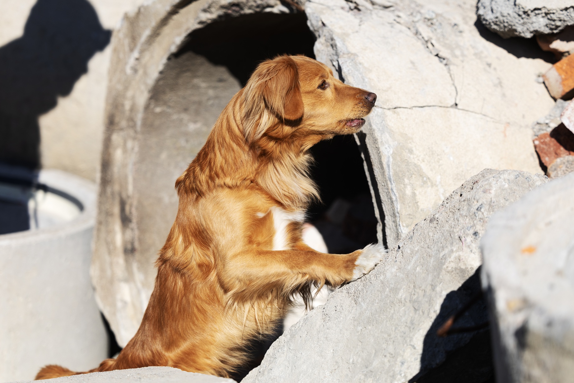 Foto: Nils Petter Nilsson