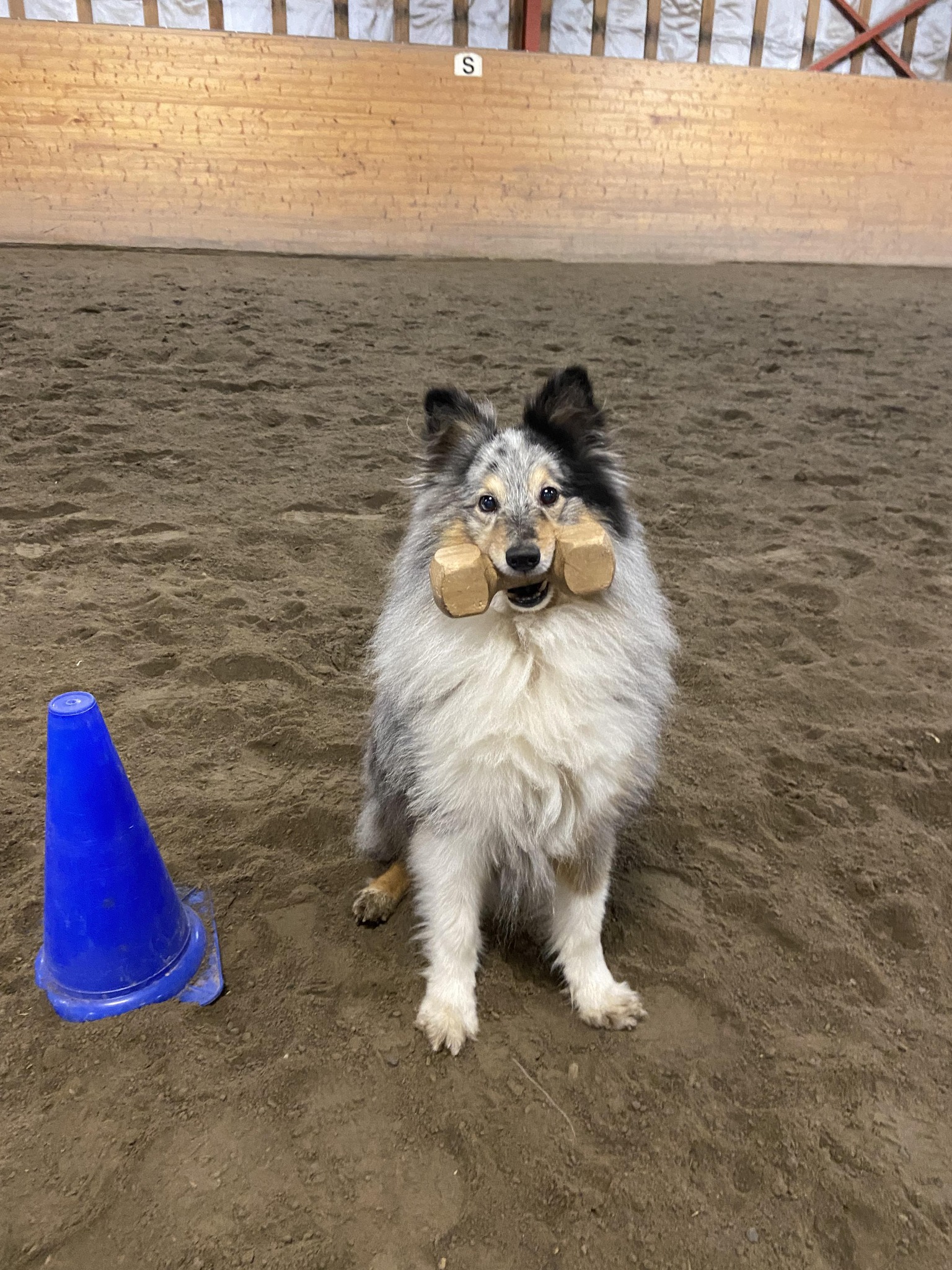 Arjeplog Brukshundklubb