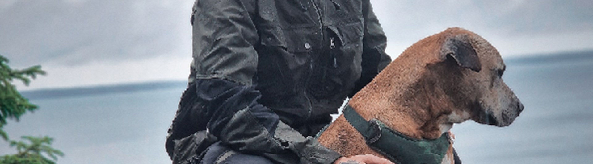 Reklambild för Arrak, man i regnponcho klappar en hund