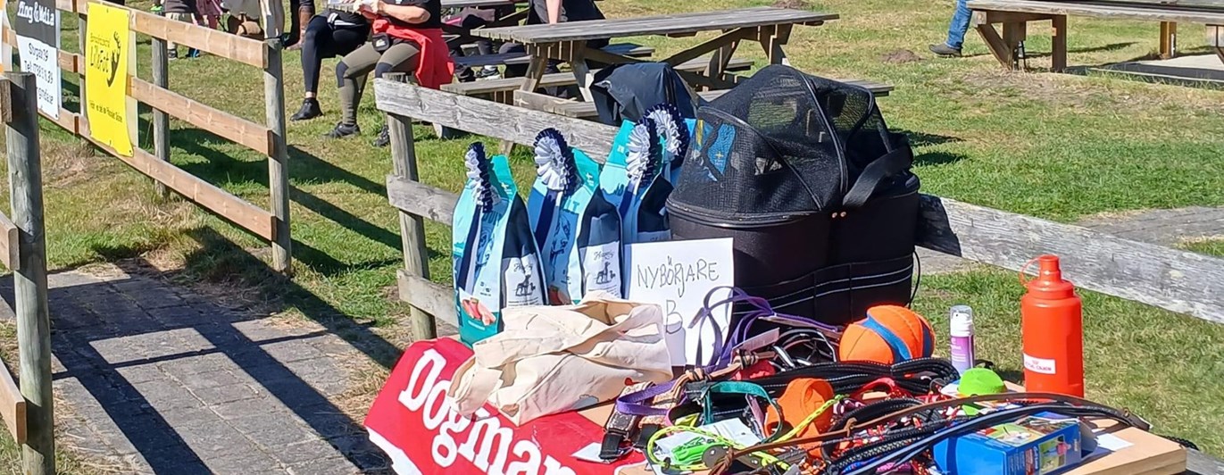 Rallylydnadstävling