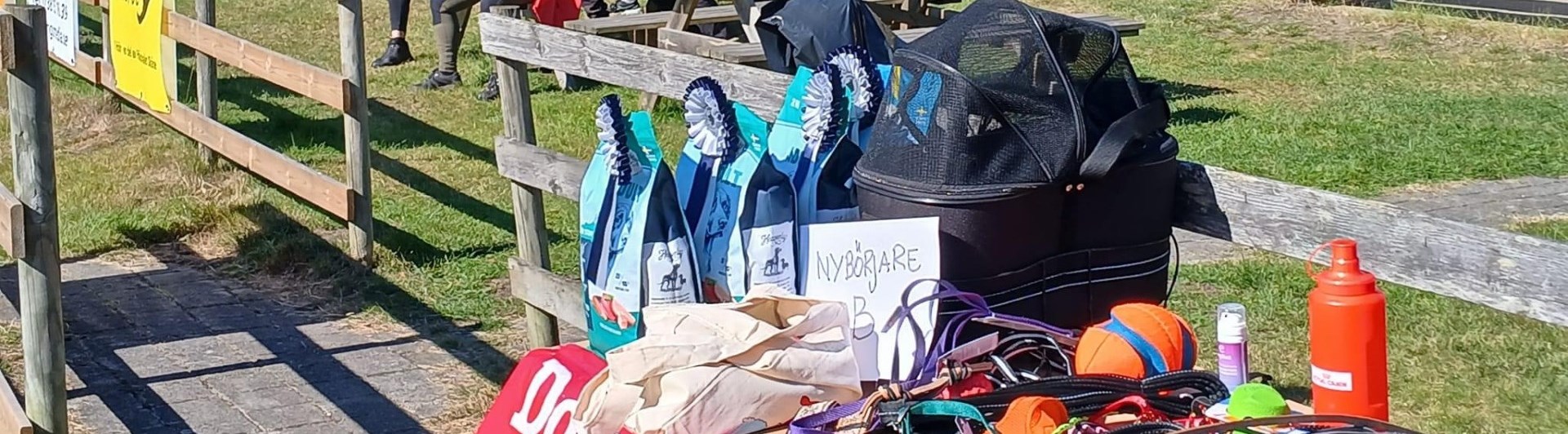 Rallylydnadstävling