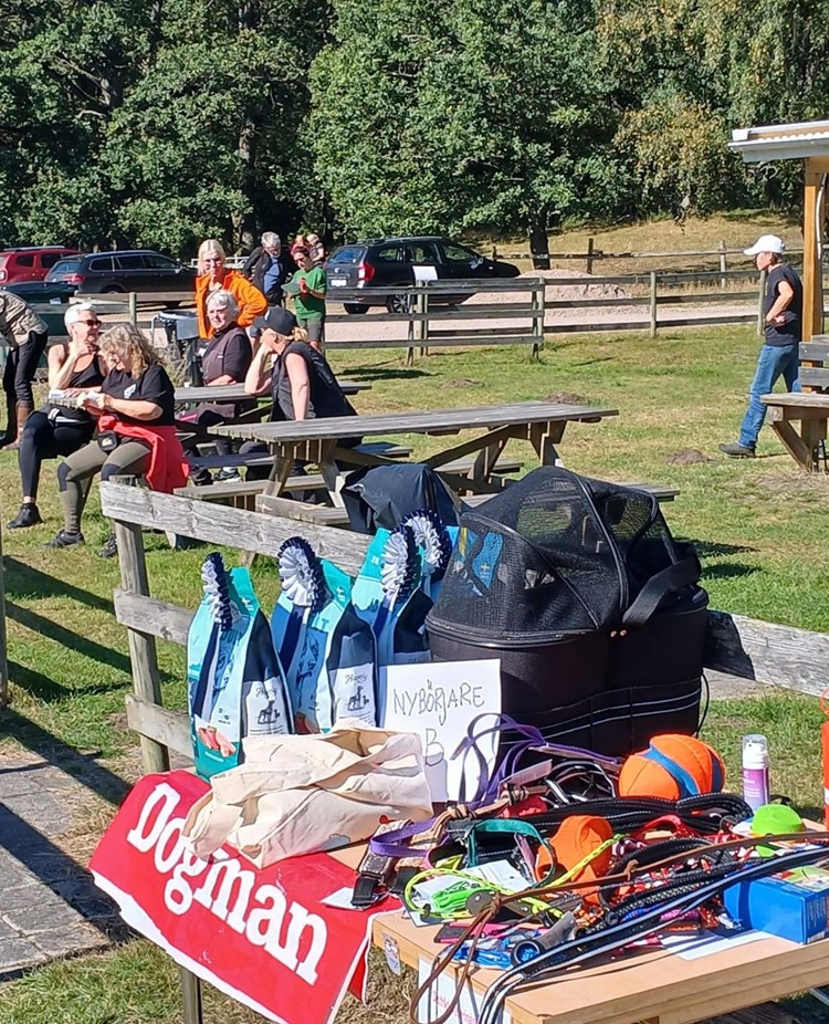 Rallylydnadstävling