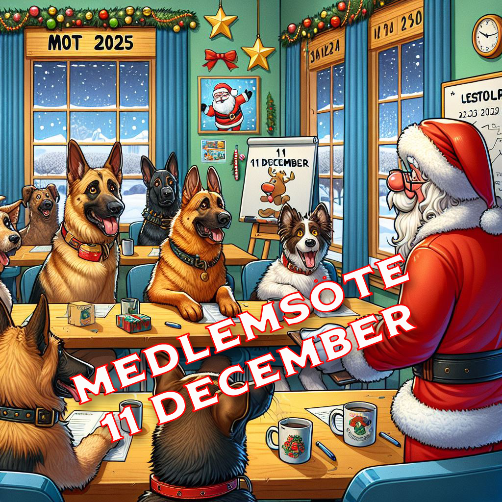 Medlemsmöte 11 december 2024