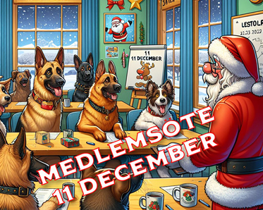 Medlemsmöte 11 december 2024