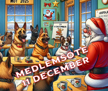 Medlemsmöte 11 december 2024