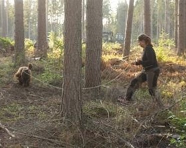 Marie tränar viltspår med sin hund.