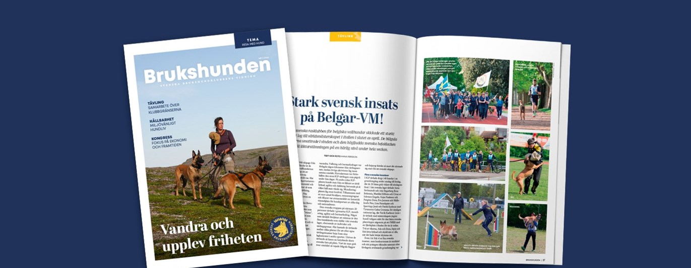 Bild på tidningen Brukshunden nummer 3, 2024.