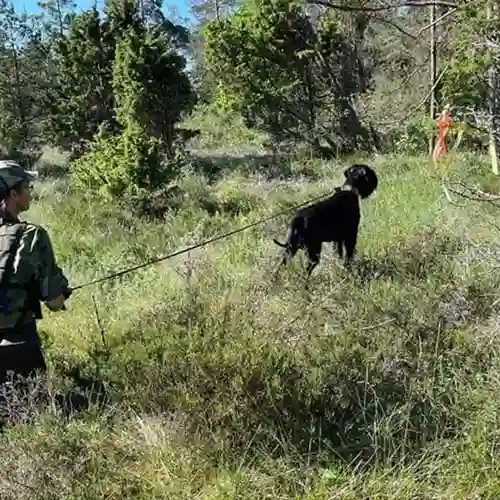 Vindmarkering för Patrullhund