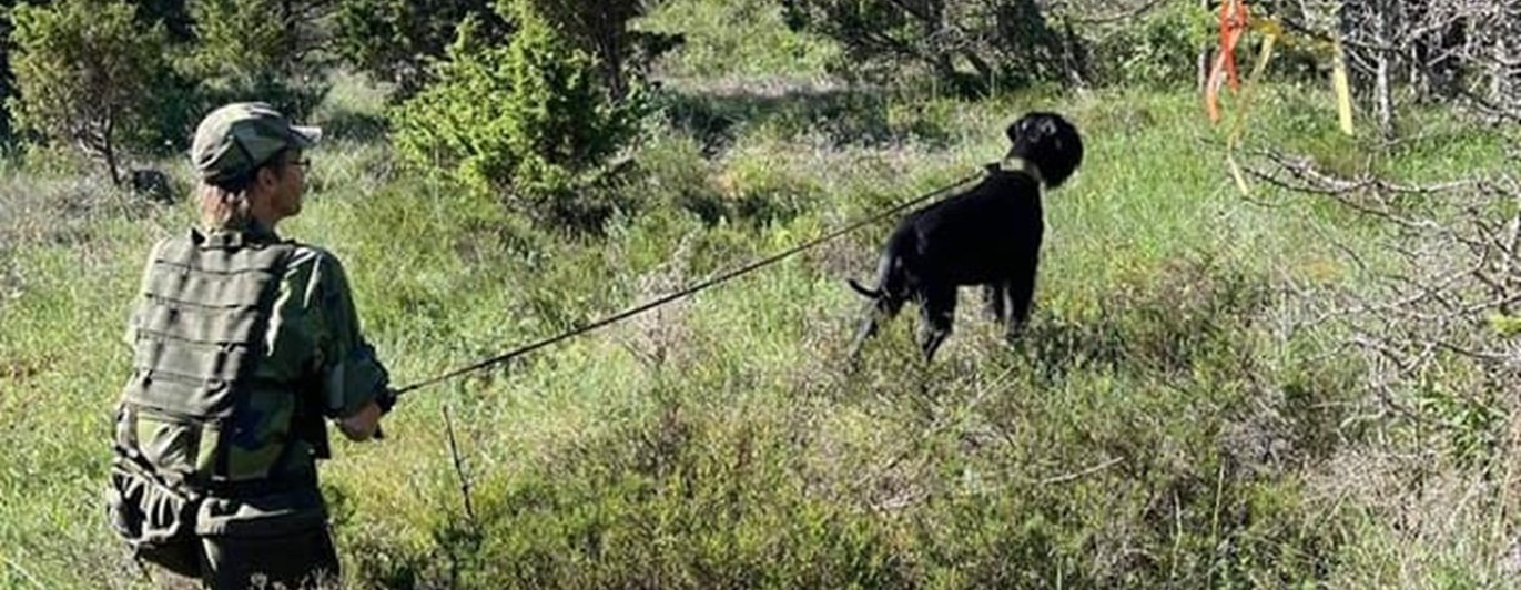 Vindmarkering för Patrullhund