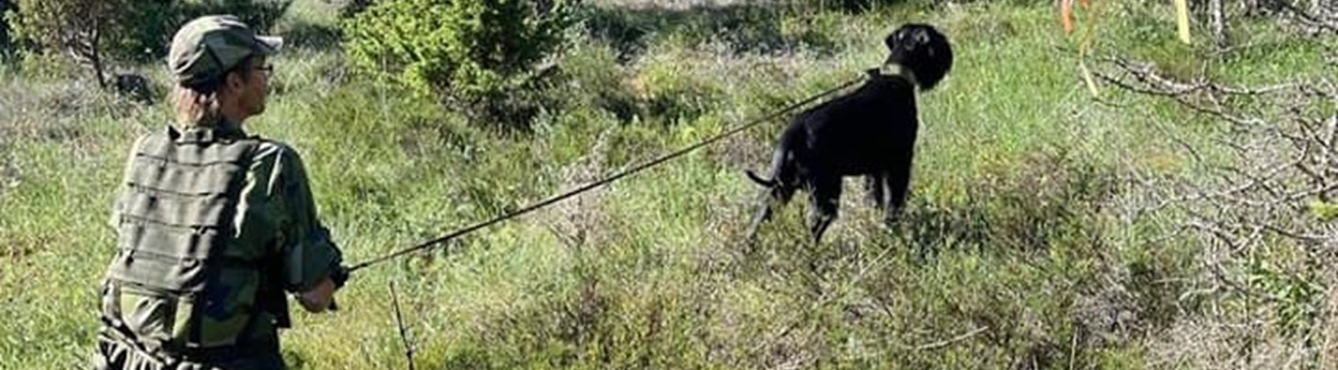 Vindmarkering för Patrullhund