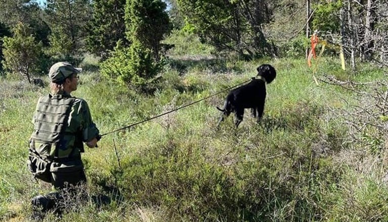 Vindmarkering för Patrullhund