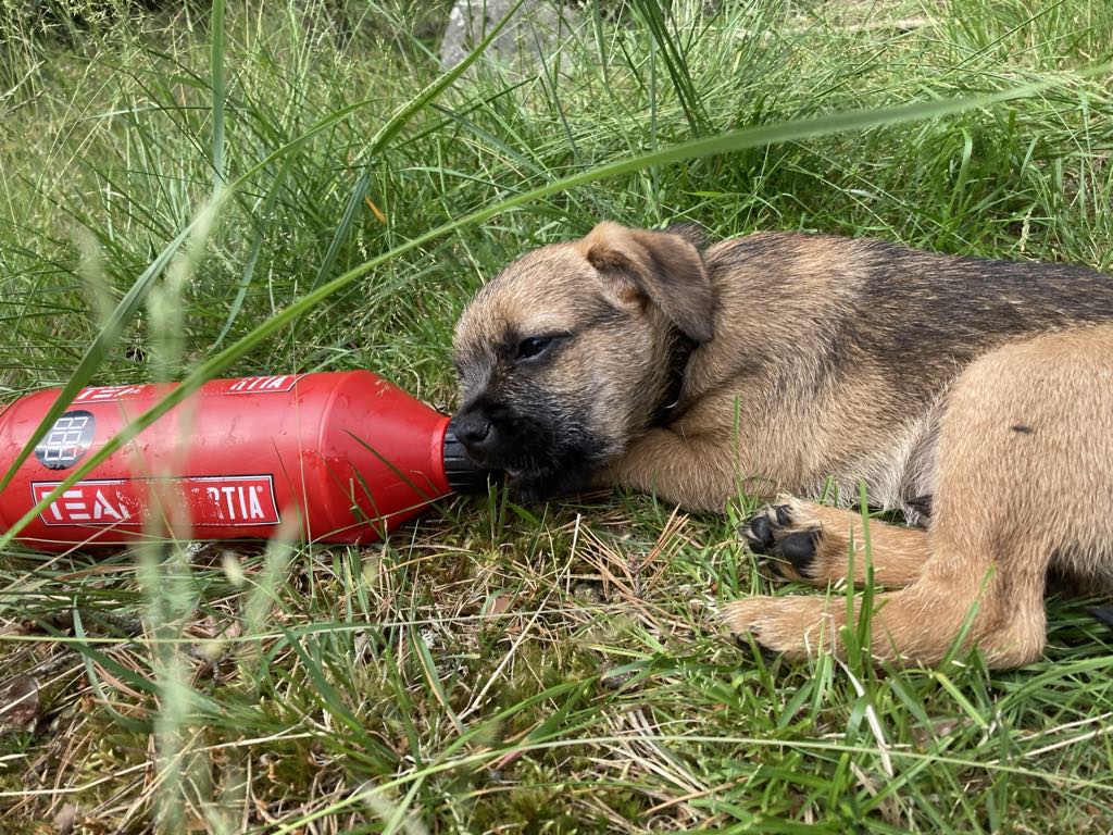 Foto: Marie Sundberg