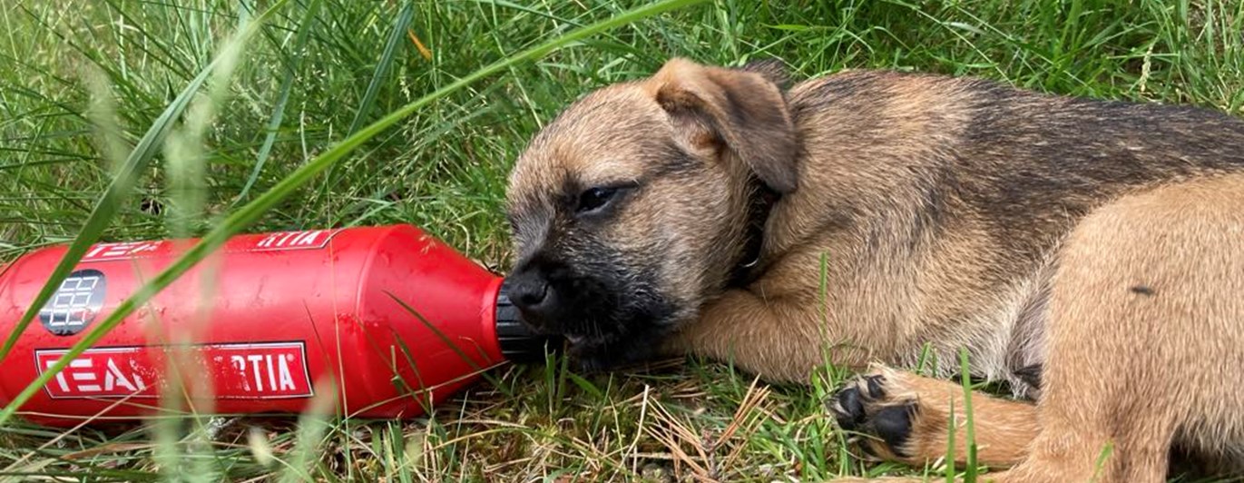 Foto: Marie Sundberg