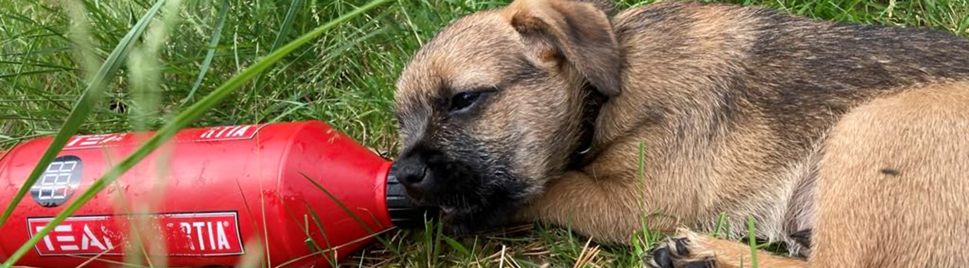 Foto: Marie Sundberg