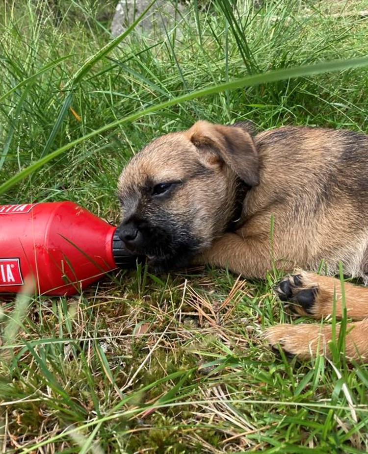 Foto: Marie Sundberg