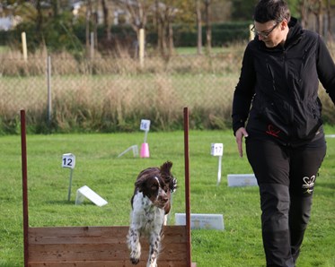 Rallylydnadsekipage vid hinder