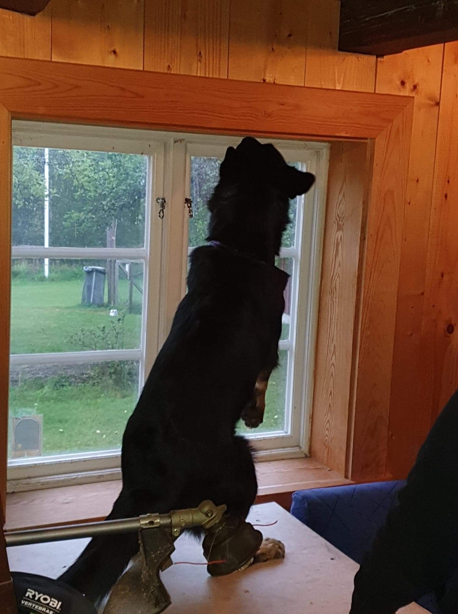 Byling markerar på hög gömma i  fönster på BBK