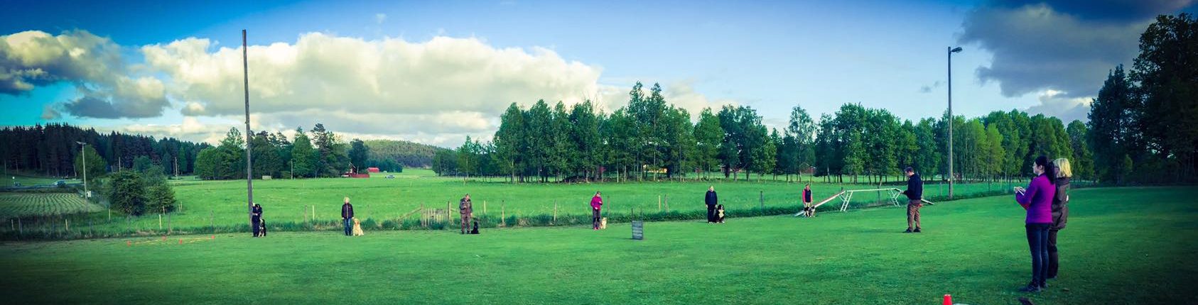 Bild på övreplan med ekipage där hundarna sitter.