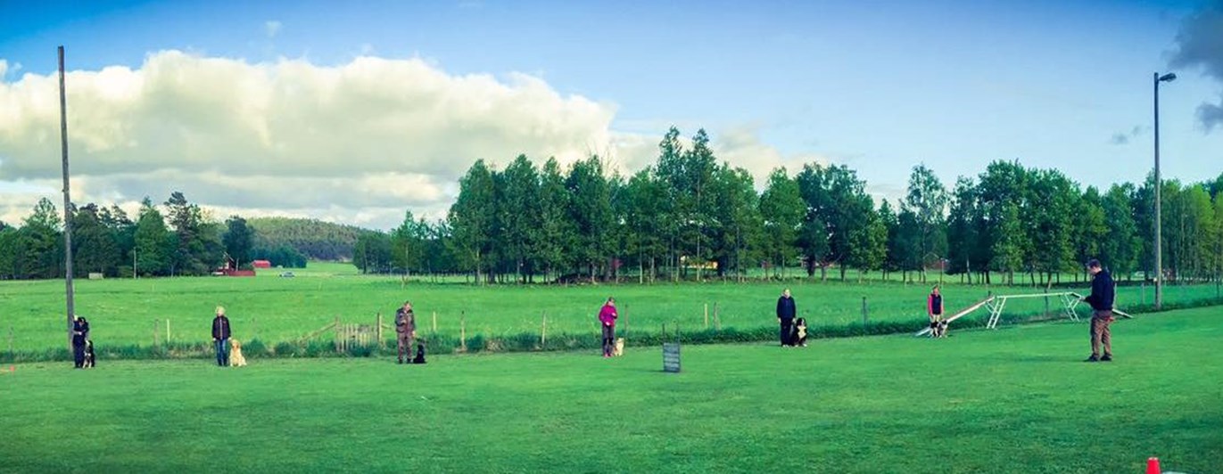 Bild på övreplan med ekipage där hundarna sitter.