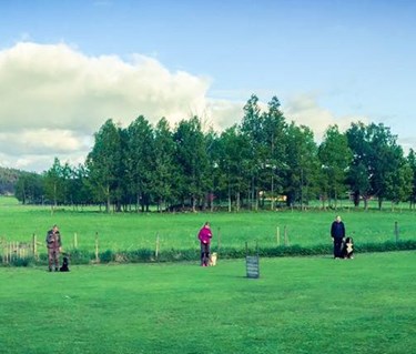 Bild på övreplan med ekipage där hundarna sitter.