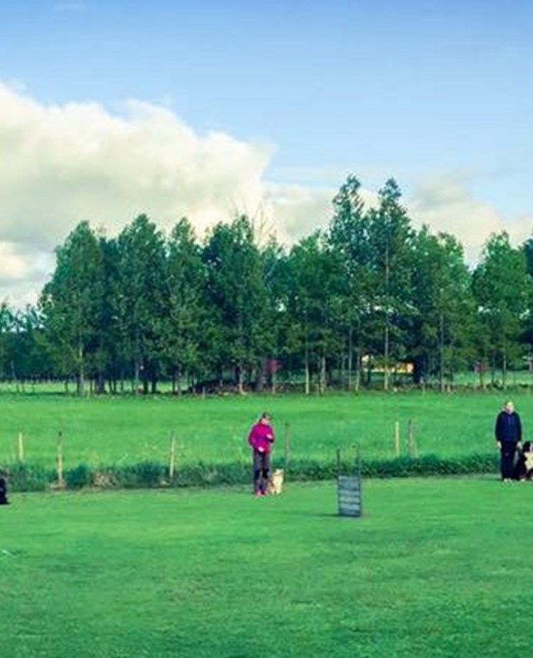 Bild på övreplan med ekipage där hundarna sitter.