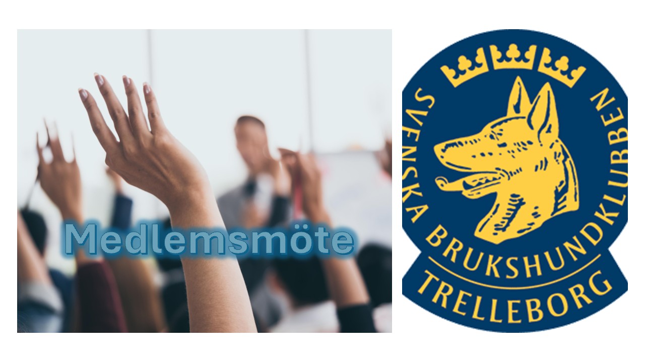 Medlemsmöte