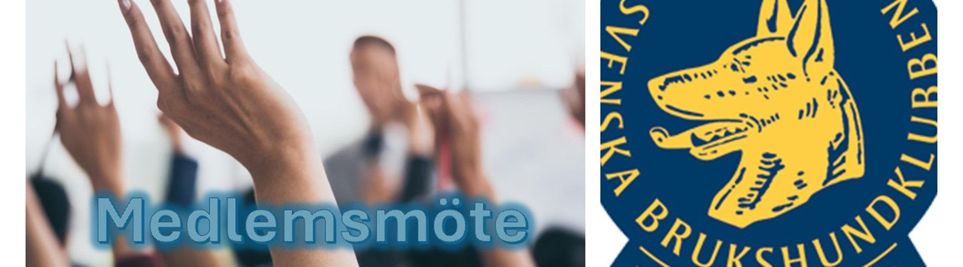Medlemsmöte