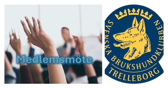 Medlemsmöte