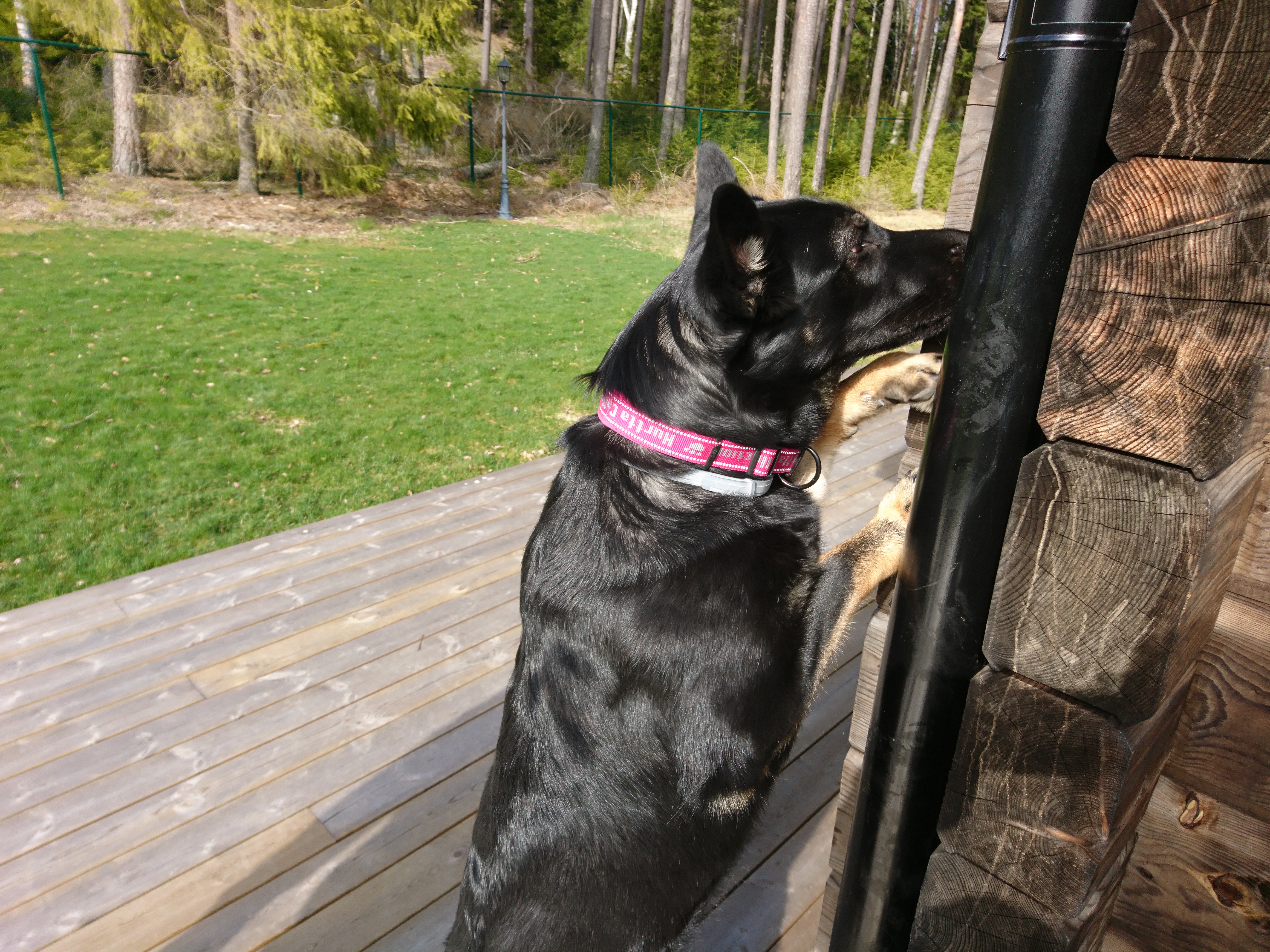 Byling markerar på stuprör