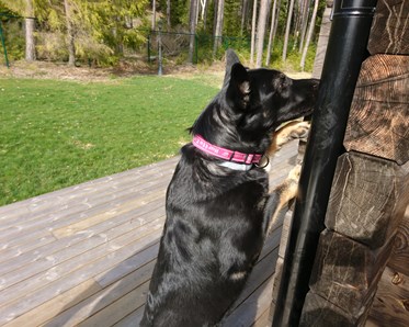 Byling markerar på stuprör