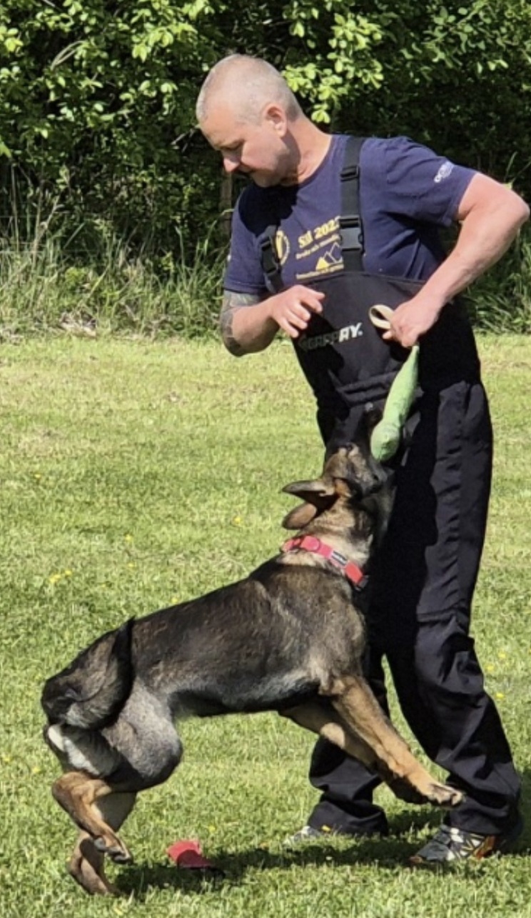 Träning med ung hund