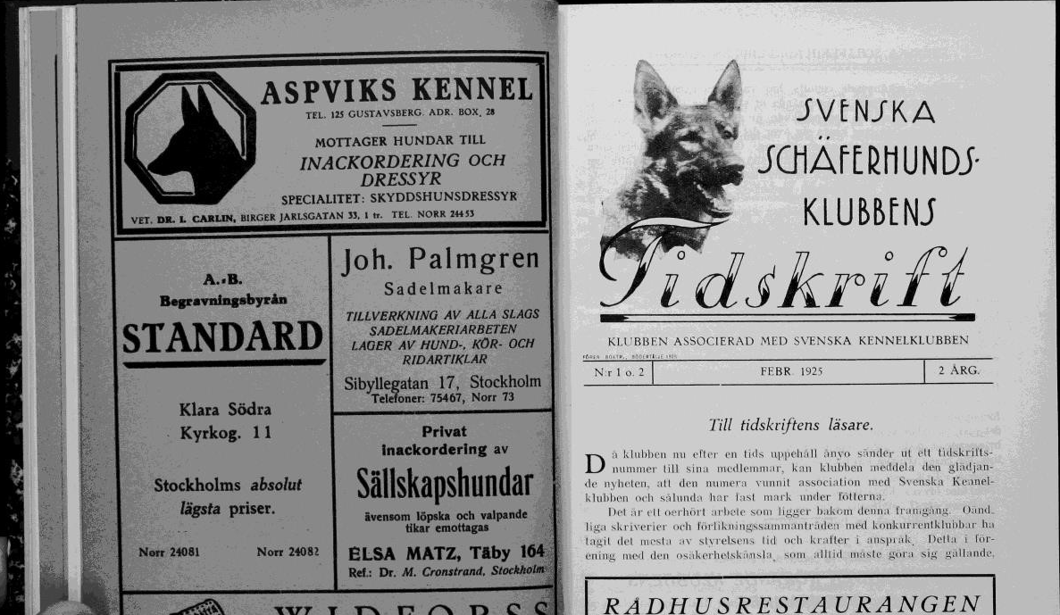Bild på ett nummer av Svenska Schäferhundklubbens tidskrift från 1925
