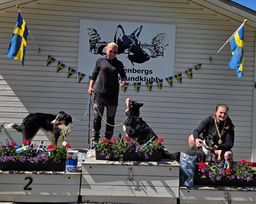 Prispallen i distriktsmästerskapet. Glada hundar och personer