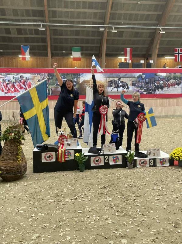 De individuella pristagarna vid nordiska mästerskapen i rallylydnad 2025