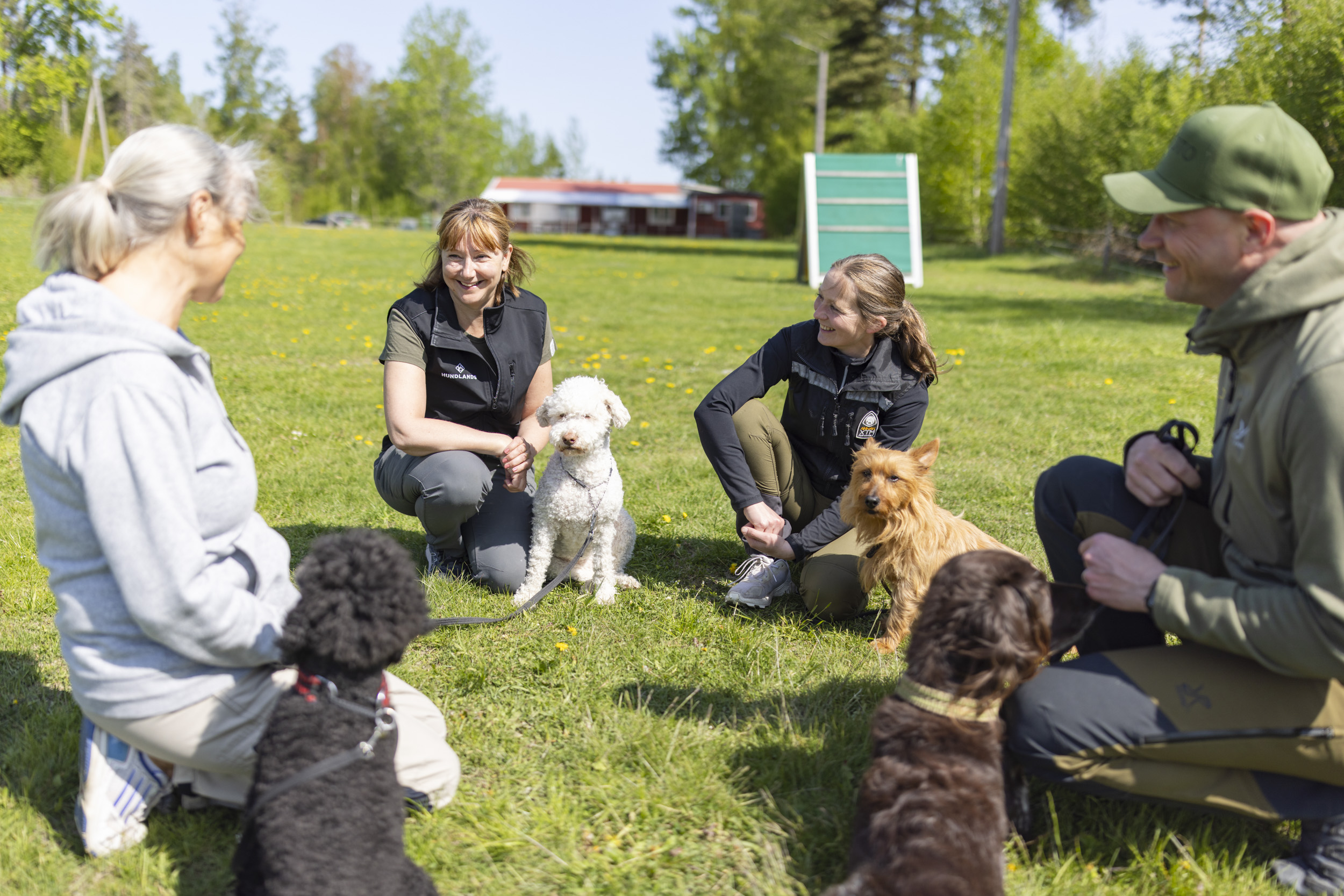 Fyra hundägare med sina hundar som sitter på klubbens appellplan och pratar med varandra.