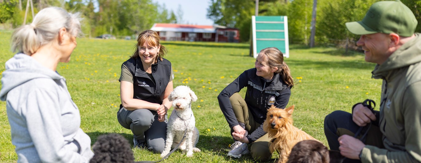 Fyra hundägare med sina hundar som sitter på klubbens appellplan och pratar med varandra.