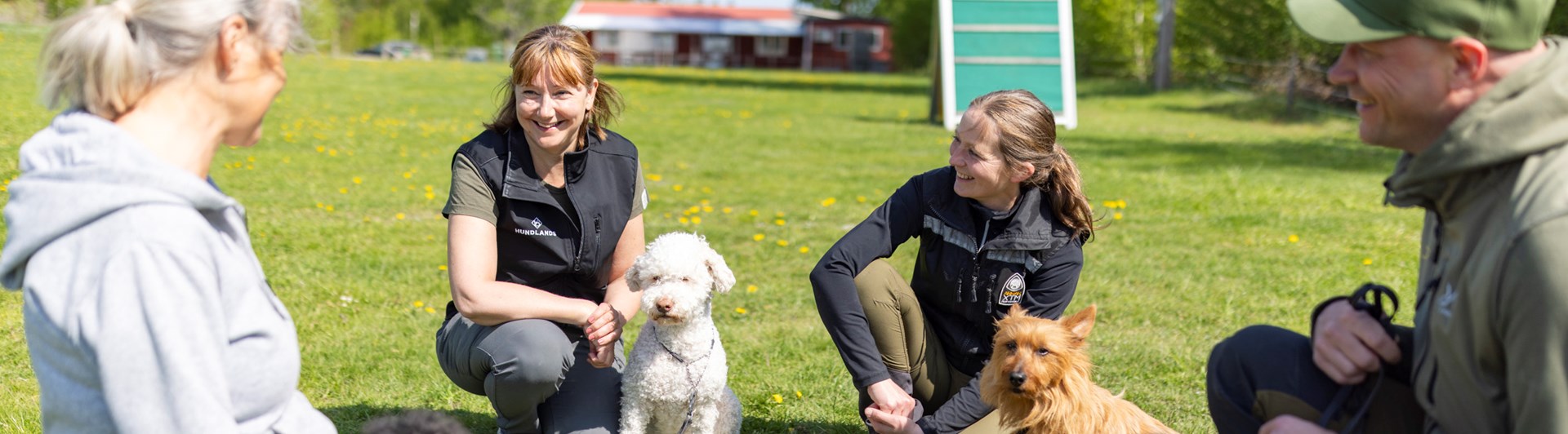 Fyra hundägare med sina hundar som sitter på klubbens appellplan och pratar med varandra.