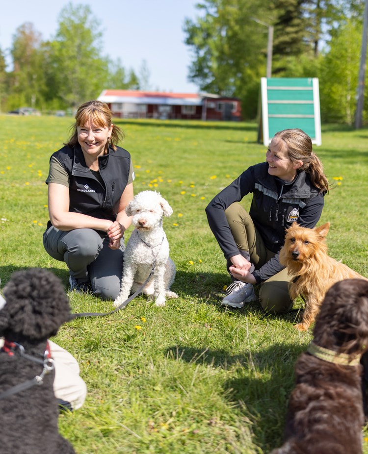 Fyra hundägare med sina hundar som sitter på klubbens appellplan och pratar med varandra.