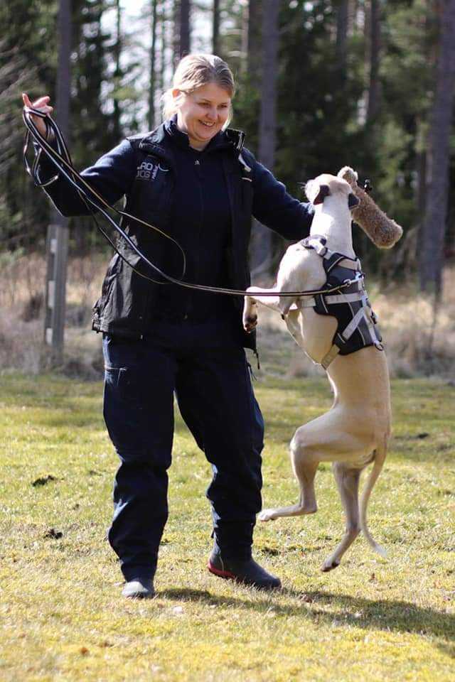 Jenny med hund som hoppar