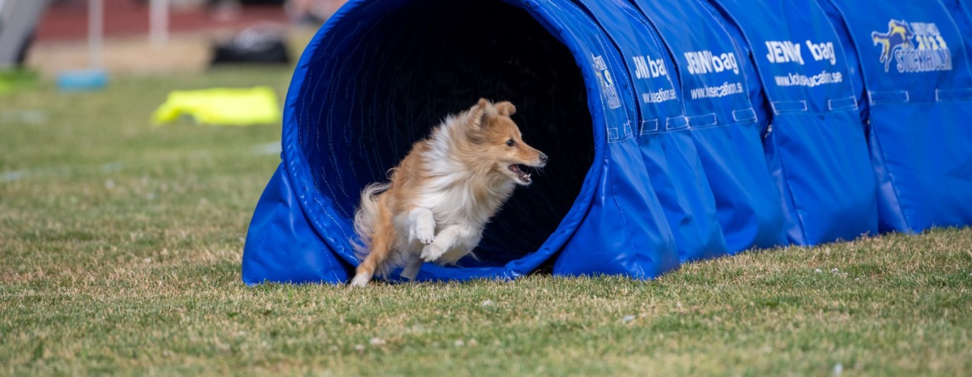 Turid i tunnel tillsammans med Kari