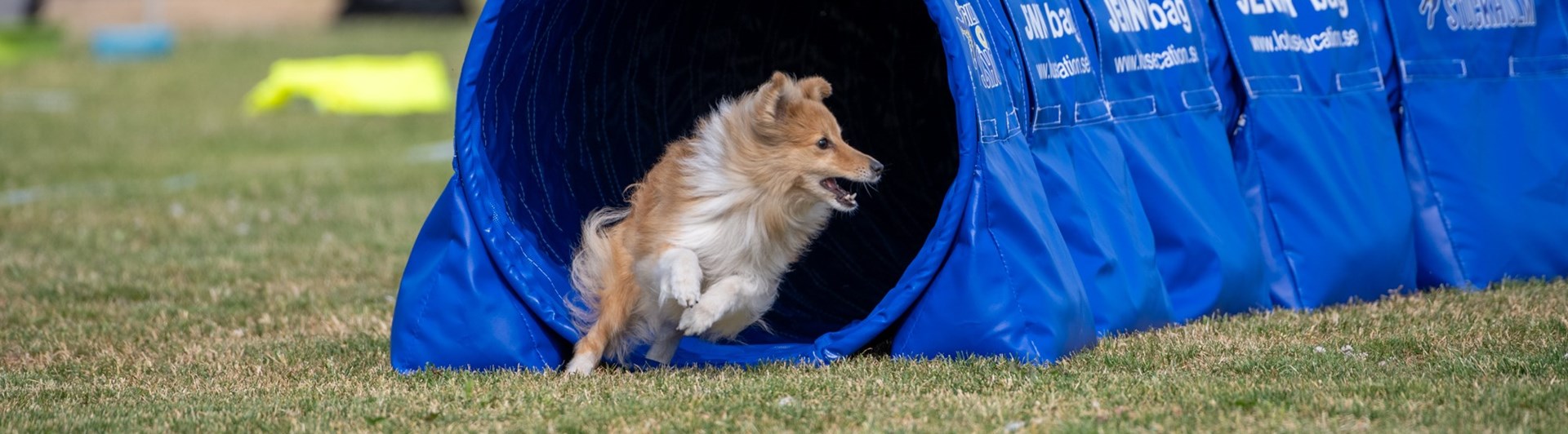 Turid i tunnel tillsammans med Kari