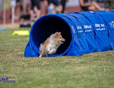 Turid i tunnel tillsammans med Kari