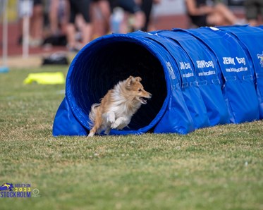Turid i tunnel tillsammans med Kari